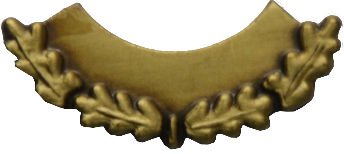 Eichenlaub Bronze klein